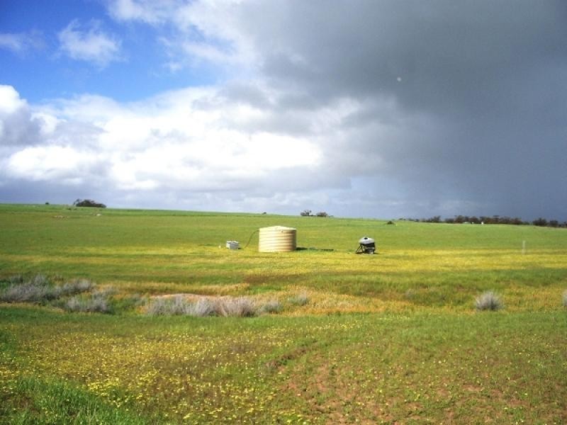 Jennacubbine WA 6401