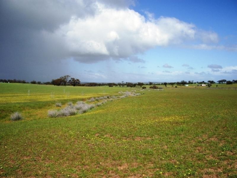 Jennacubbine WA 6401