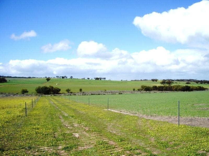 Jennacubbine WA 6401