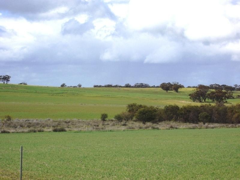 Jennacubbine WA 6401