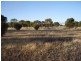 Lot 189, 189 Wislon Street, Meckering WA 6405