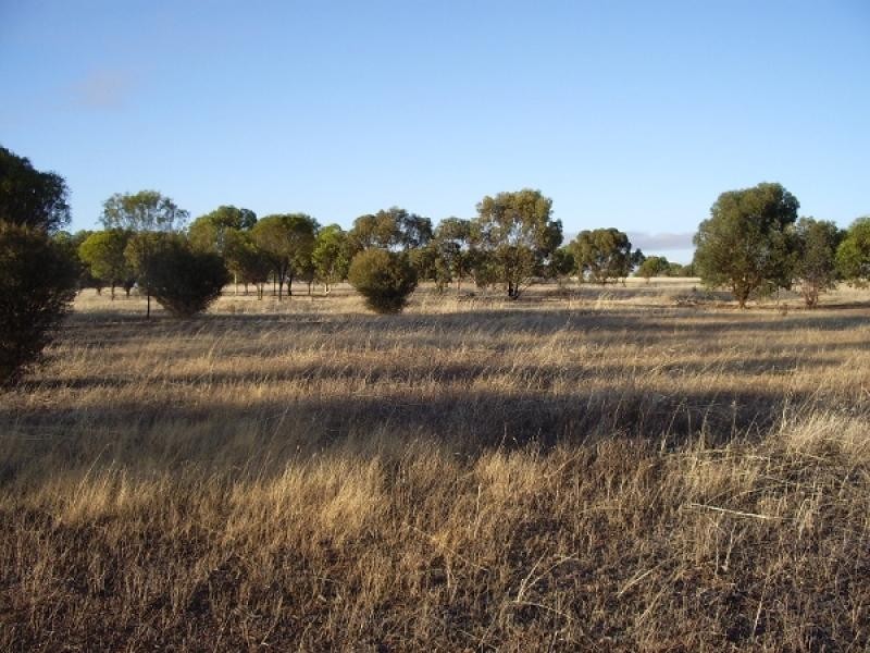 Lot 189, 189 Wislon Street, Meckering WA 6405