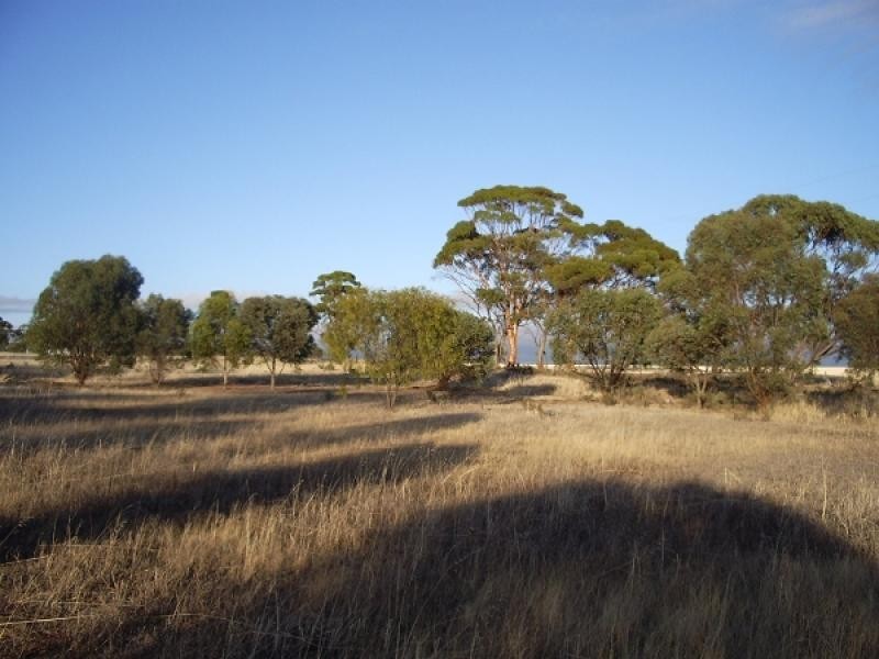 Lot 189, 189 Wislon Street, Meckering WA 6405