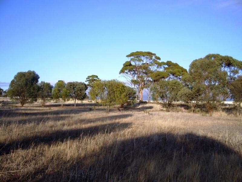 189 Wilson Street, Meckering WA 6405