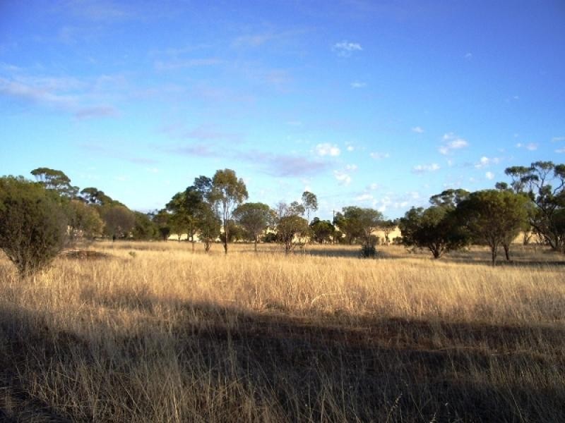 189 Wilson Street, Meckering WA 6405