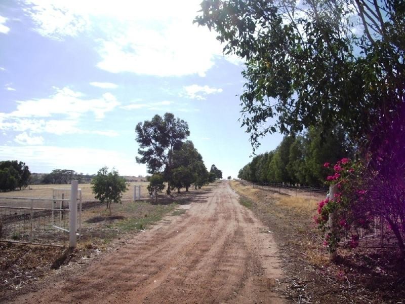 Lot 1566, 1566 Goomalling Toodyay Road, Wongamine WA 6401