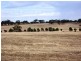 Lot 1566, 1566 Goomalling Toodyay Road, Wongamine WA 6401