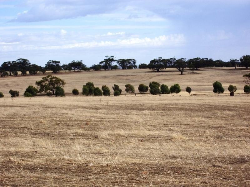 Lot 1566, 1566 Goomalling Toodyay Road, Wongamine WA 6401