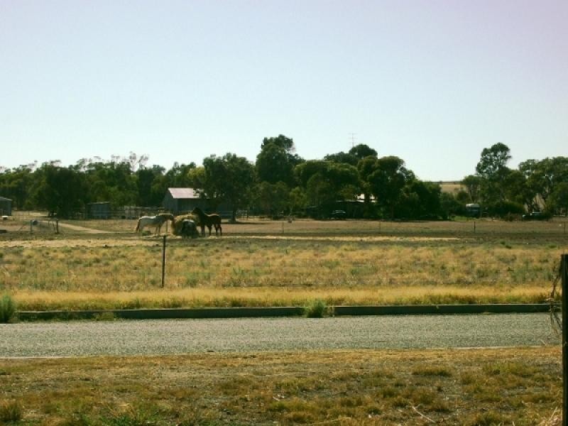 48 Ore Street, Muluckine WA 6401