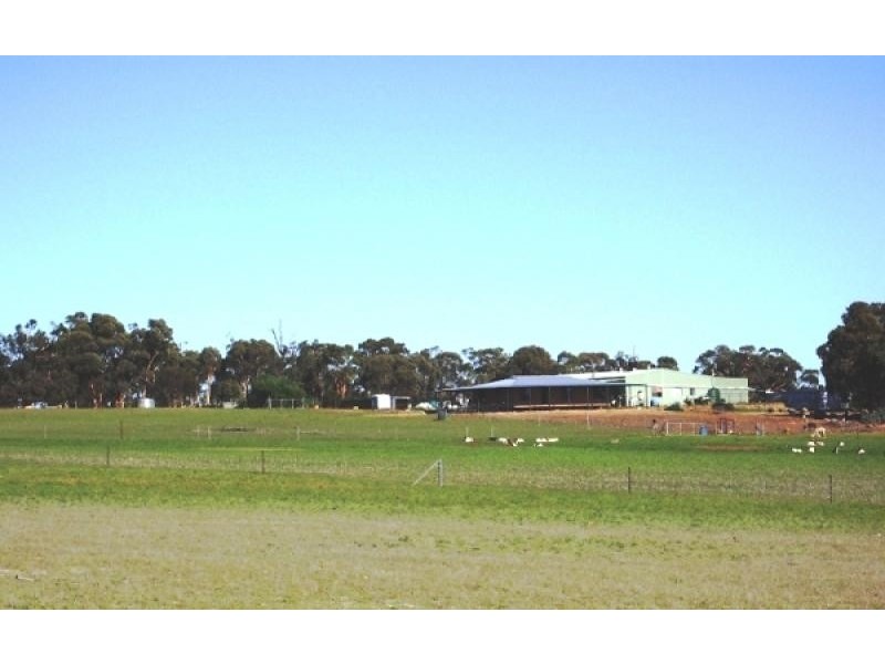 307 Jilyading Drive, Northam WA 6401