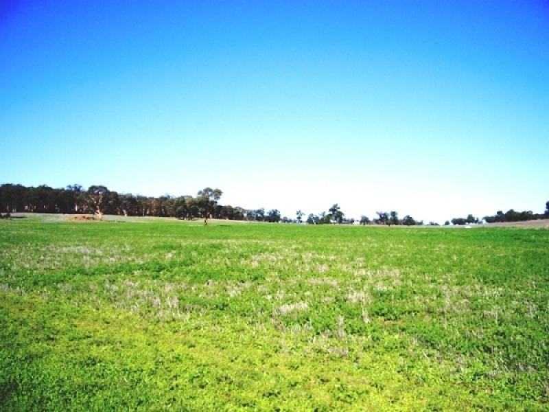 307 Jilyading Drive, Northam WA 6401