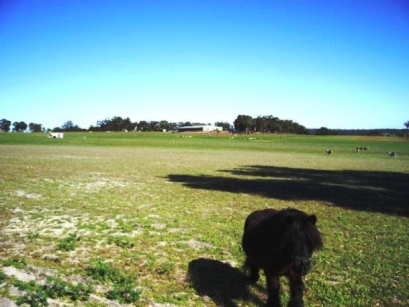 307 Jilyading Drive, Northam WA 6401