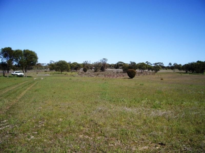 Meckering WA 6405