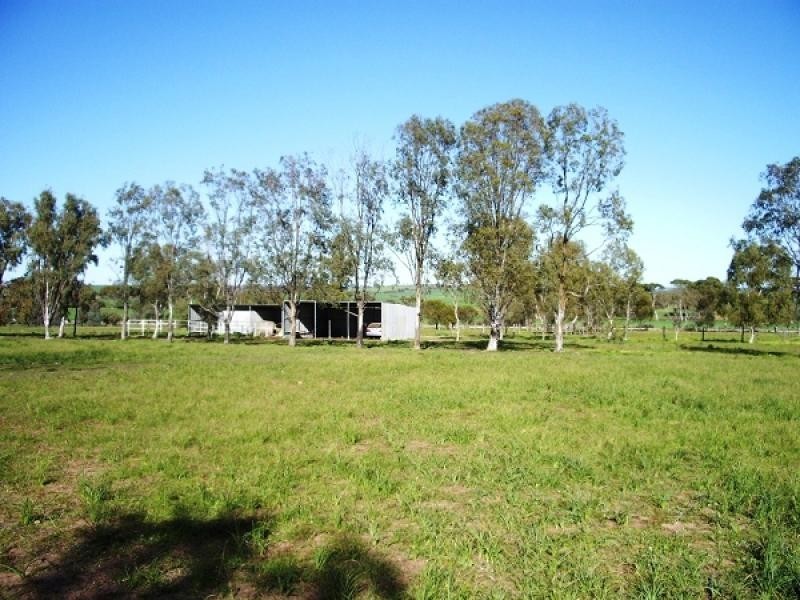 17 Grange Street, Goomalling WA 6460