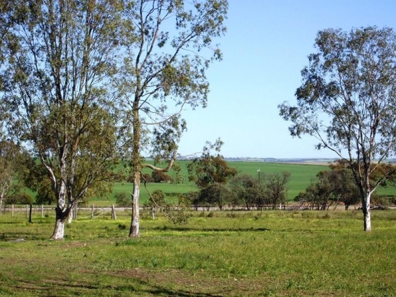 17 Grange Street, Goomalling WA 6460