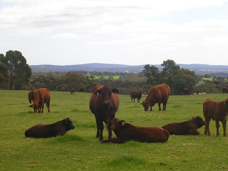 Lot 27706/957 Wambyn Rd, York WA 6302