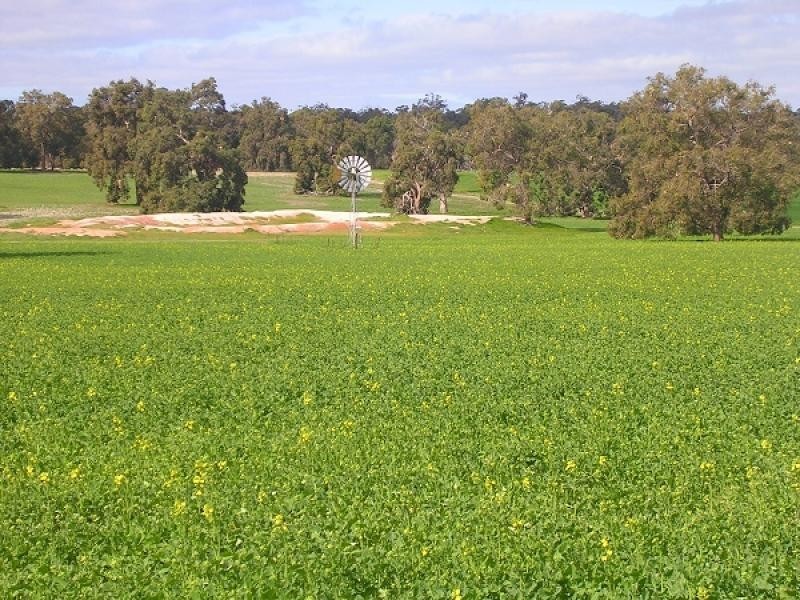 Lot 27706/957 Wambyn Rd, York WA 6302