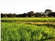 Lot 1743 Bejoording Road, Wongamine WA 6401