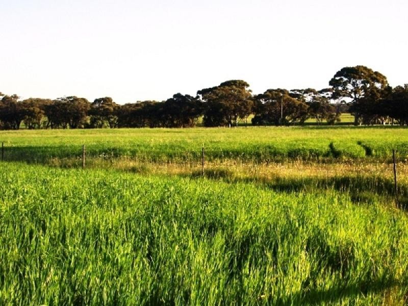 Lot 1743 Bejoording Road, Wongamine WA 6401