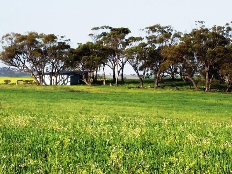 Lot 1743 Bejoording Road, Wongamine WA 6401