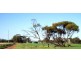 Lot 1743 Bejoording Road, Toodyay WA 6566