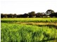 Lot 1743 Bejoording Road, Toodyay WA 6566