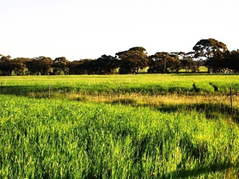 Lot 1743 Bejoording Road, Toodyay WA 6566