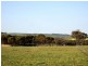 Lot 1743 Bejoording Road, Toodyay WA 6566