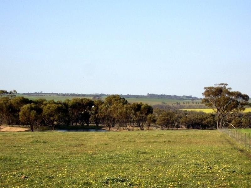 Lot 1743 Bejoording Road, Toodyay WA 6566