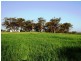 Lot 1743 Bejoording Road, Wongamine WA 6401