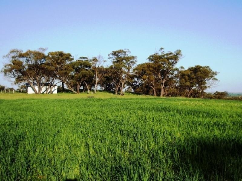 Lot 1743 Bejoording Road, Wongamine WA 6401
