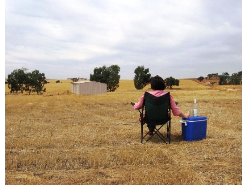 38 Loton Drive, Northam WA 6401