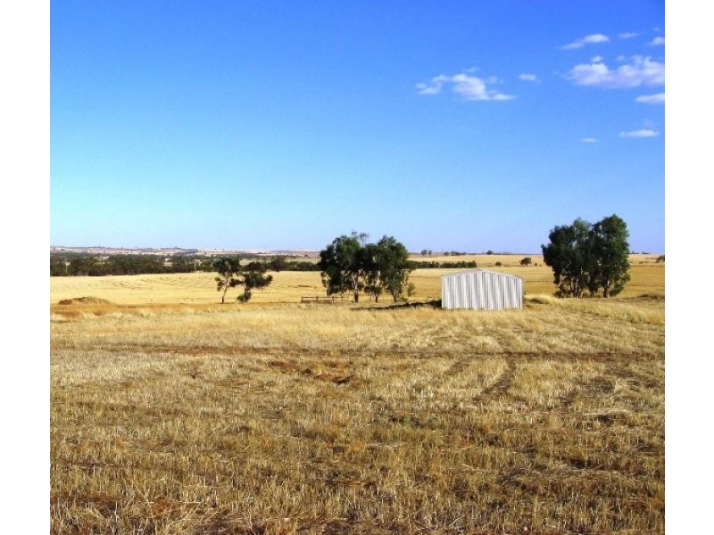 38 Loton Drive, Northam WA 6401