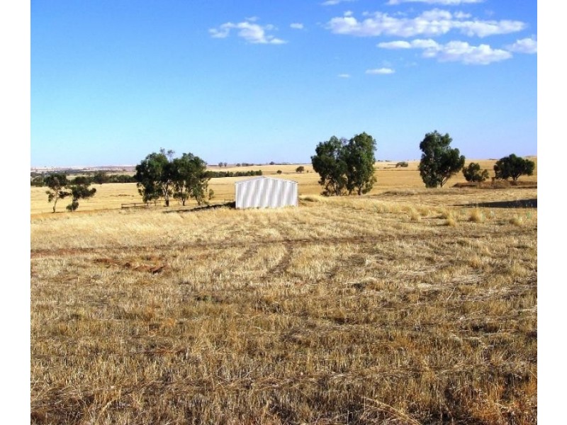 38 Loton Drive, Northam WA 6401