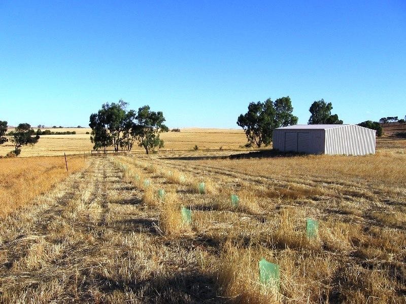 38 Loton Drive, Northam WA 6401