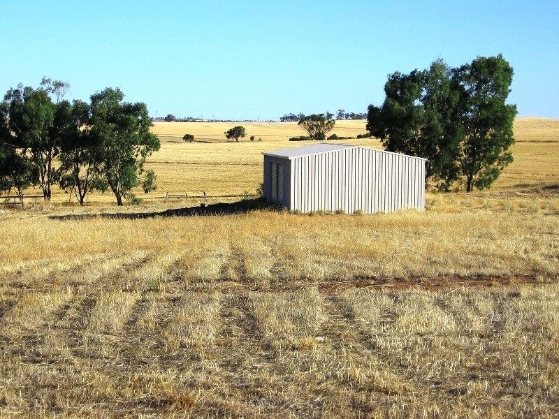 38 Loton Drive, Northam WA 6401