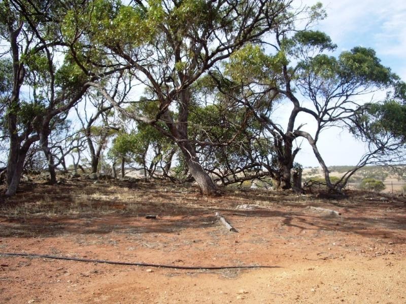 Lot 774/ Bebakine Road, Jennacubbine via, Northam WA 6401