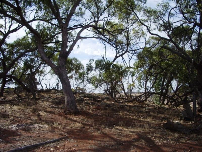 Lot 774/ Bebakine Road, Jennacubbine via, Northam WA 6401