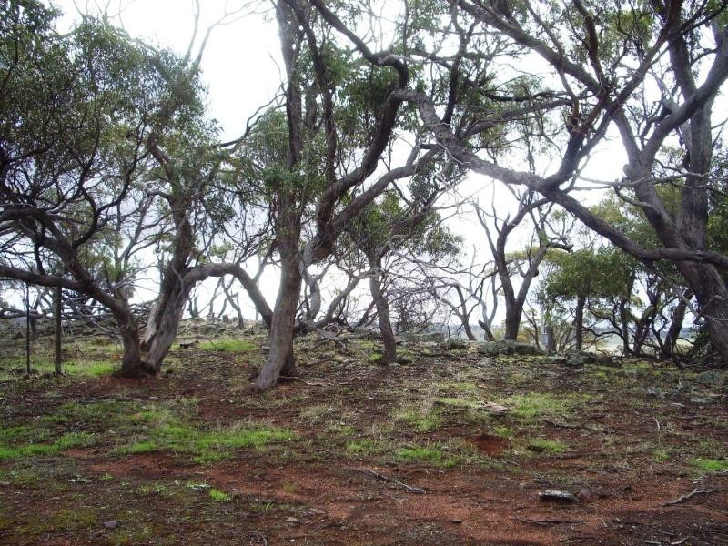 Lot 774/ Bebakine Road, Jennacubbine via, Northam WA 6401