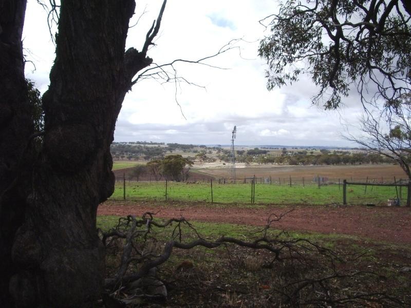 Lot 774/ Bebakine Road, Jennacubbine via, Northam WA 6401