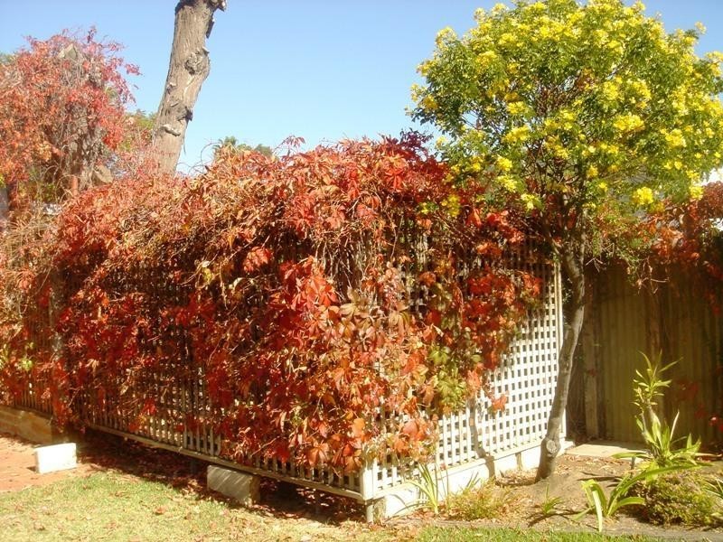 14 May Street, Northam WA 6401