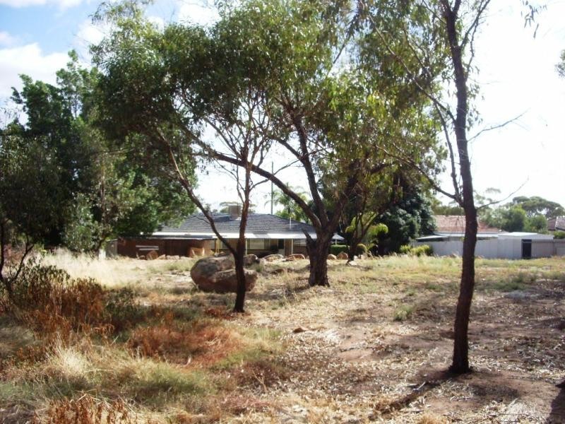 54 Mitchell Street, Cunderdin WA 6407