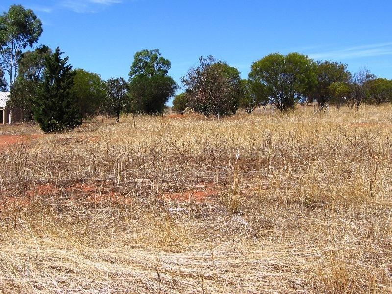 Lot 137/9 Oakover Place, Northam WA 6401