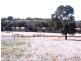 Lot 1152/ Lunt Street, Northam WA 6401