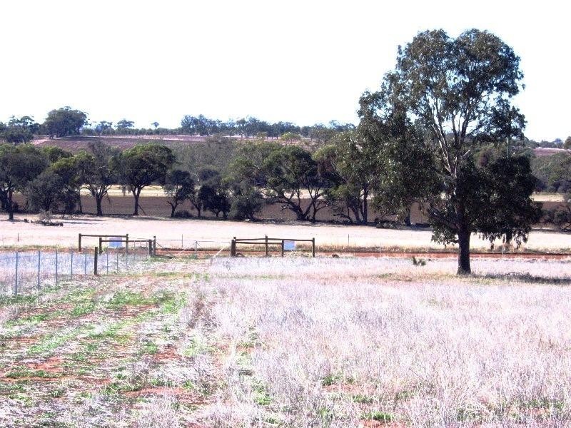 Lot 1152/ Lunt Street, Northam WA 6401