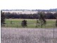 Lot 1152/ Lunt Street, Northam WA 6401