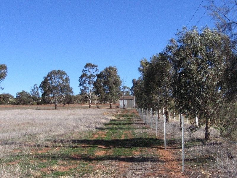 Lot 1152/ Lunt Street, Northam WA 6401