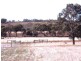 Lot 1152/ Lunt Street, Northam WA 6401