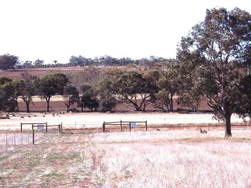 Lot 1152/ Lunt Street, Northam WA 6401