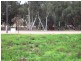 83 Railway Terrace, Goomalling WA 6460